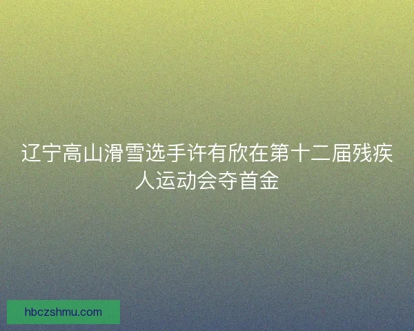 辽宁高山滑雪选手许有欣在第十二届残疾人运动会夺首金 辽宁高山滑雪选手许有欣在第十二届残疾人运动会夺首金