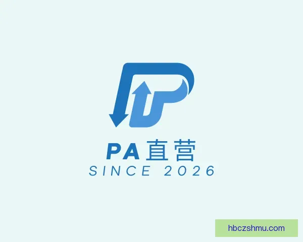 认识PA直营